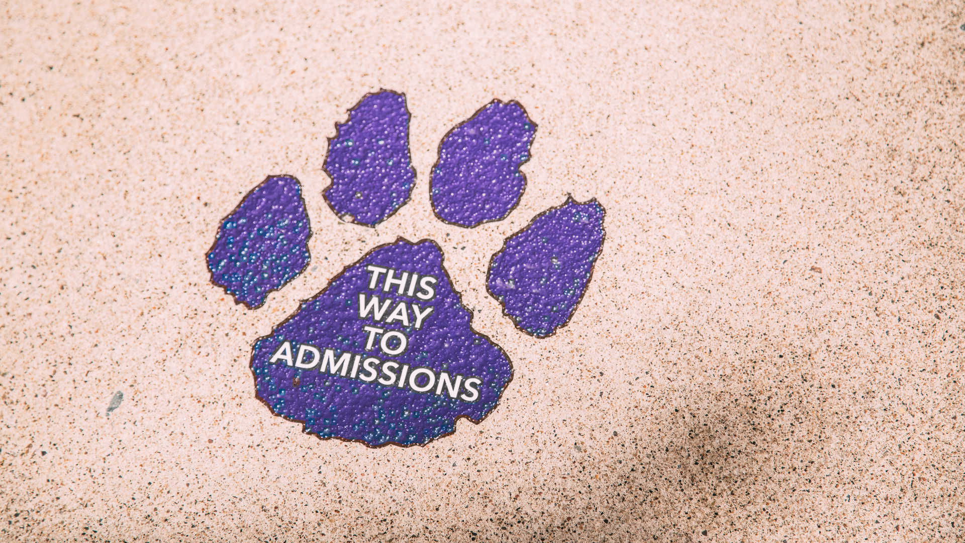 admissions paw